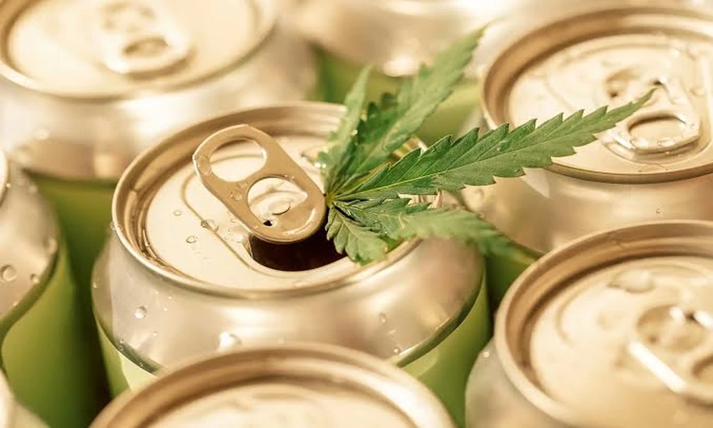The Rise of Hemp THC Beverages: A 2026 Guide